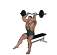 Triceps Extension - Reverse Seated EZ Bar
